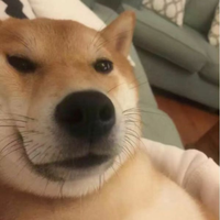 Le0Hu