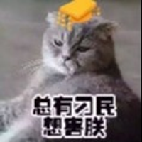 tyqq